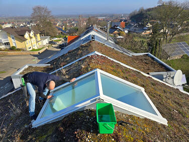 Glas- & Jalousienreinigung