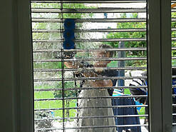 Glas- & Jalousienreinigung